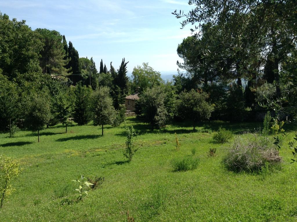 Le Romite Hotell San Gimignano Eksteriør bilde